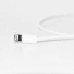 FlossBuds Lite